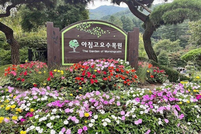 A sign with Korean text and a garden with colorful flowers. 5