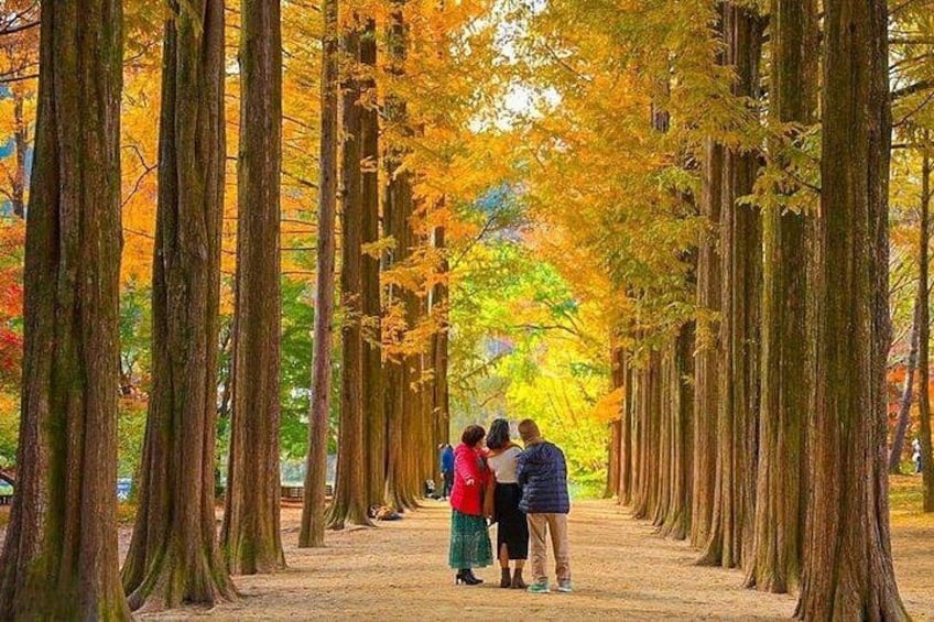 A group of people standing in a forested area with tall trees and yellow foliage. 1