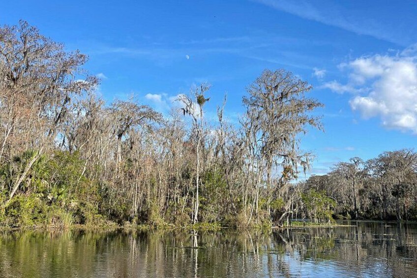 Une rivière paisible, avec une végétation clairsemée et des arbres dont les reflets se mirent dans l’eau. 3