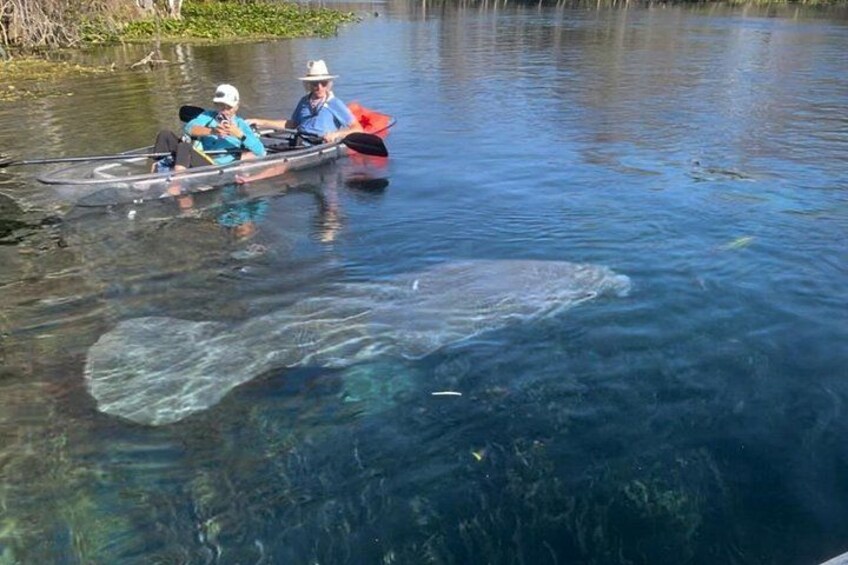 Deux personnes dans un canoë sur une rivière aux eaux claires, avec une tortue qui nage à proximité. 2
