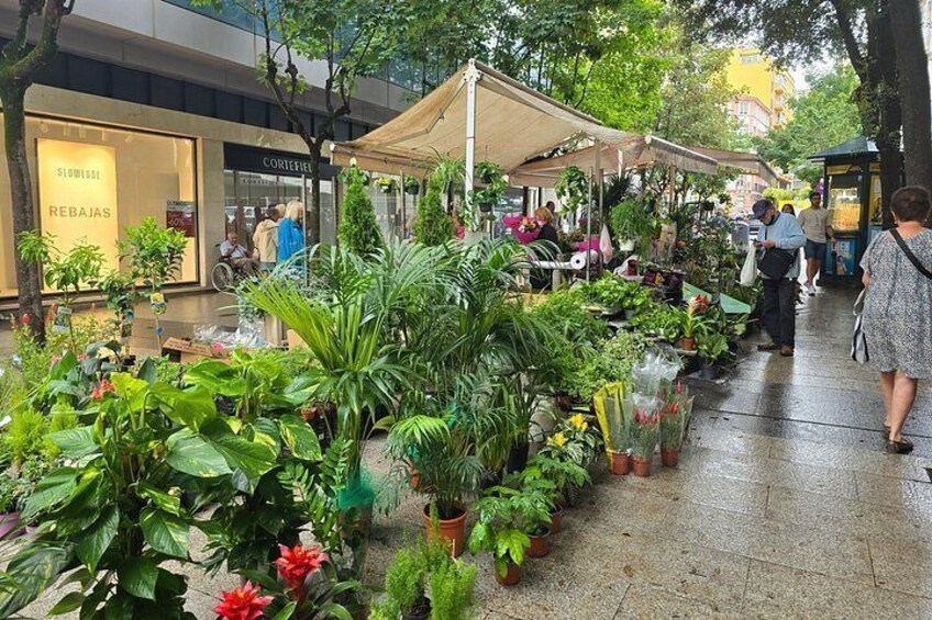 Flower market next to the Mercado de la Esperanza 2