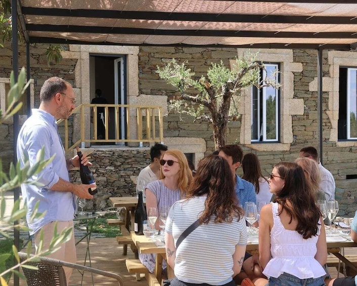 From Porto: Lunch Winery at Douro Valley paired w/ 4 wines 1