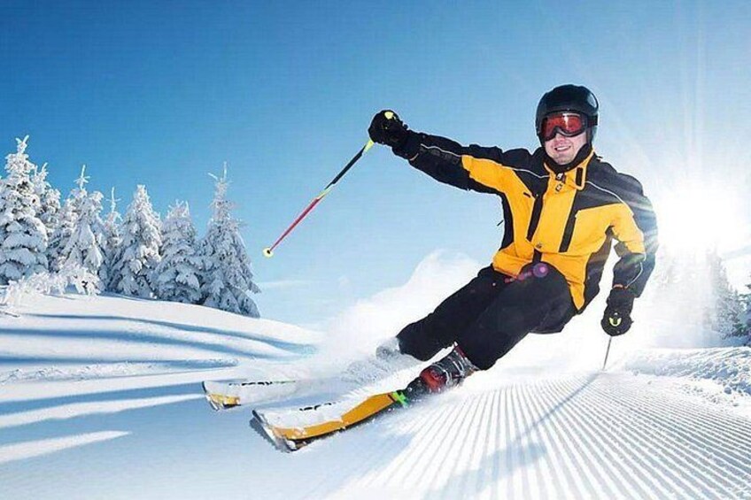 A person skiing on a snow-covered slope with trees in the background. 1