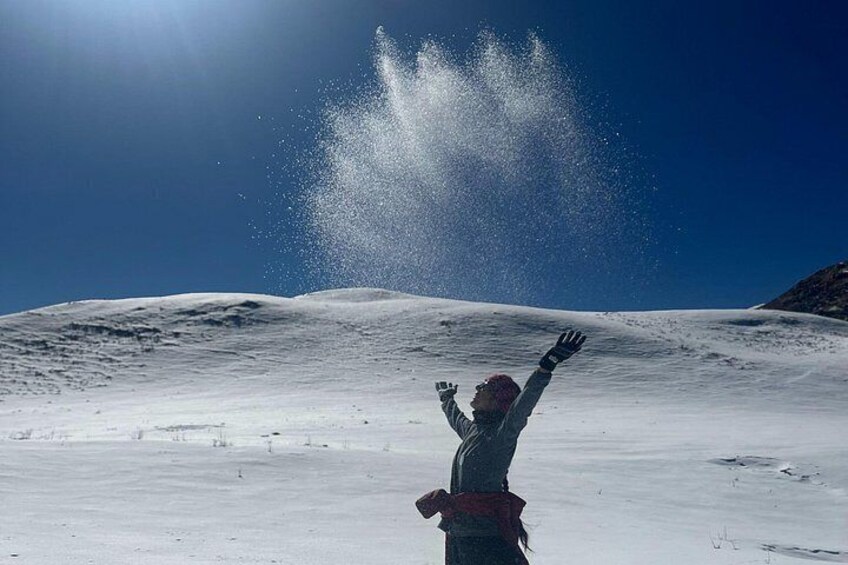 Dayara Bugyal and Surya Top Trek 5