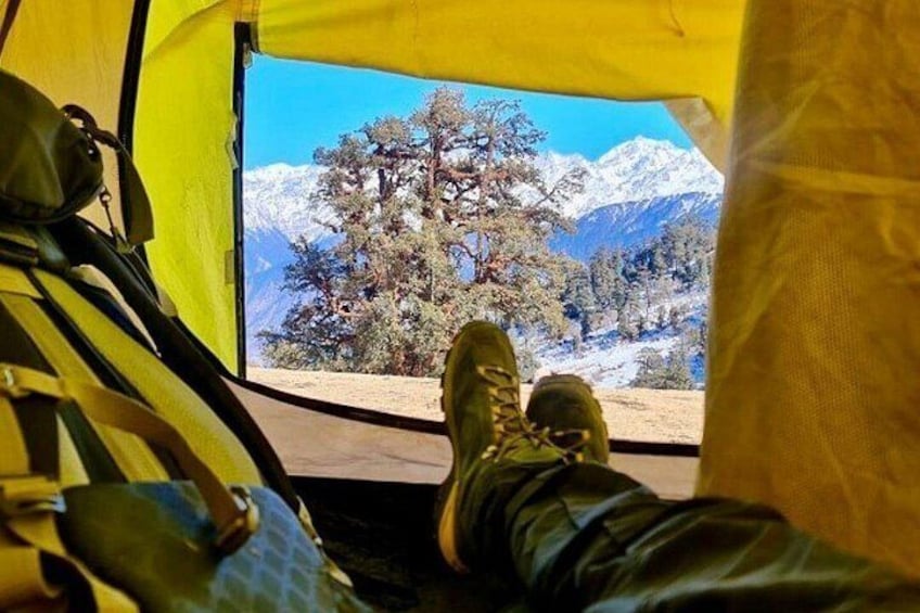 A tent with a view of snow-capped mountains and a pine tree. 1