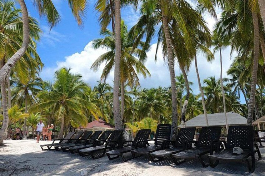 Full Day Saona Island Tour from Juan Dolio 5