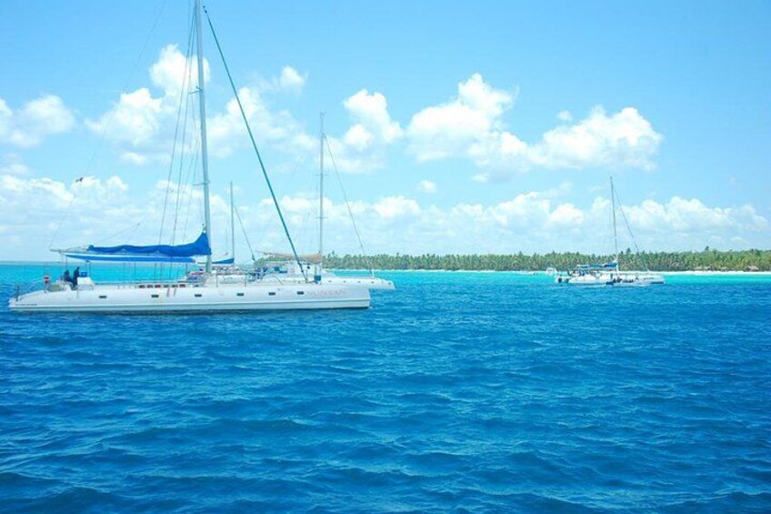 Full Day Saona Island Tour from Juan Dolio 4
