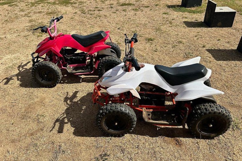 Mini ATVs and Farm Animal Experience 1