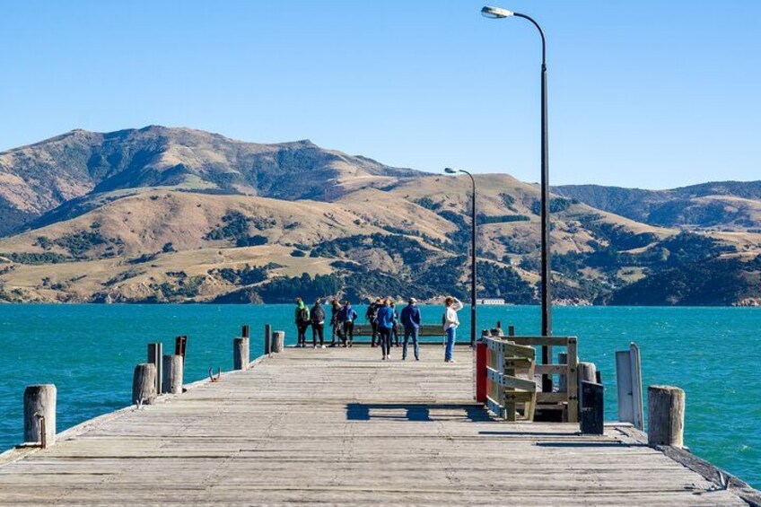 Hetty in Akaroa 2