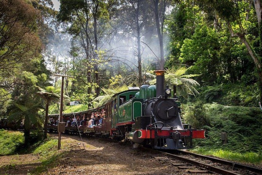 A steam train in a forested area with passengers. 3