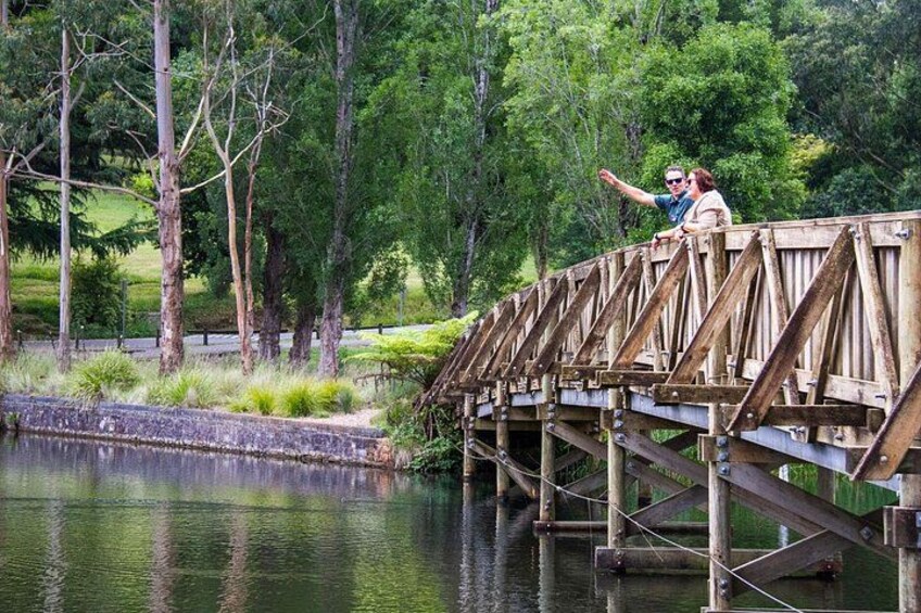 From Melbourne: Puffing Billy Steam Train Experience 2