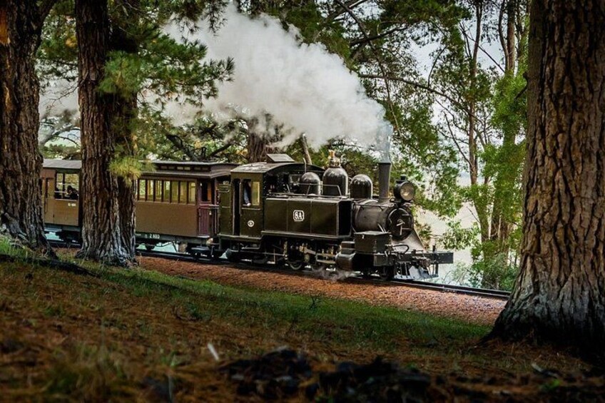 From Melbourne: Puffing Billy Steam Train Experience 3