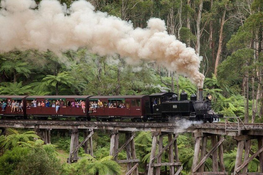 From Melbourne: Puffing Billy Steam Train Experience 1