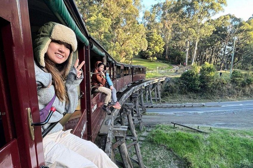 From Melbourne: Puffing Billy Steam Train Experience 2