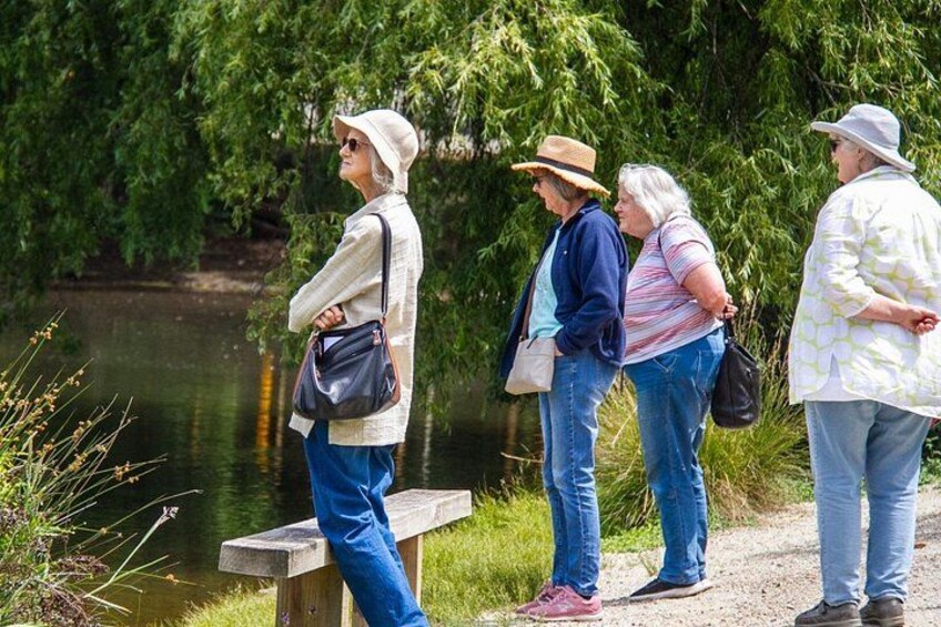 Four people standing by a river, one on a bench, with trees and greenery in the background. 2