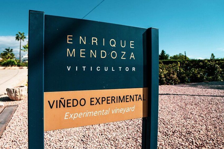 Full day tour to Villajoyosa, Benidorm, Winery Enrique Mendoza, Guadalest 1