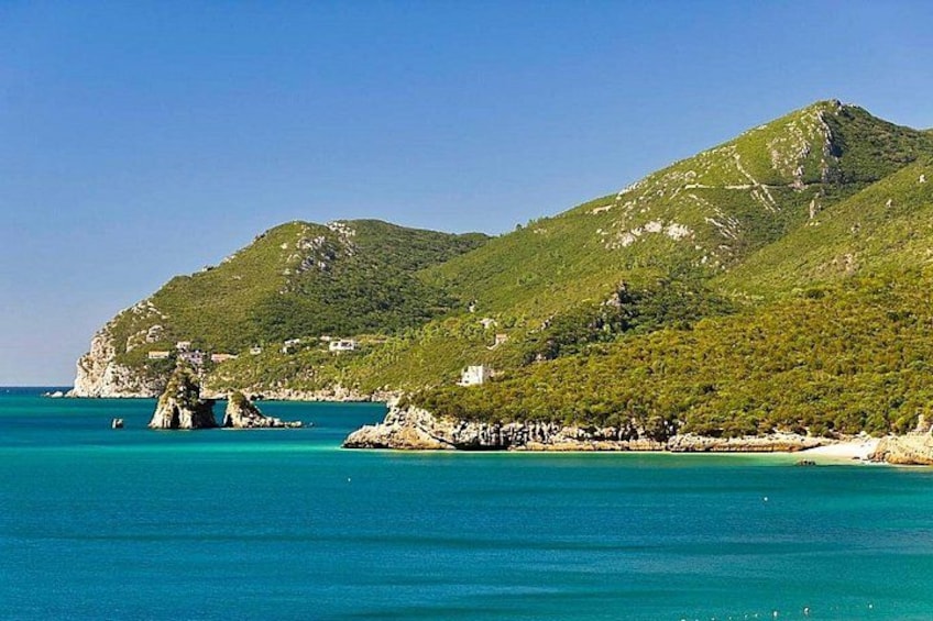 Private Car Tour to Arrábida and Olive 1