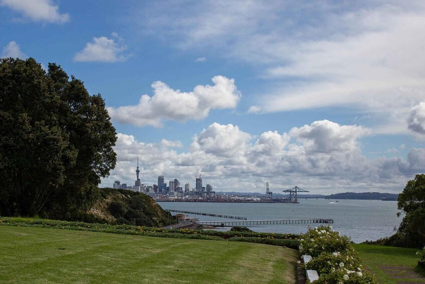 A grassy park with a city skyline in the background, a bridge, and a body of water. 2