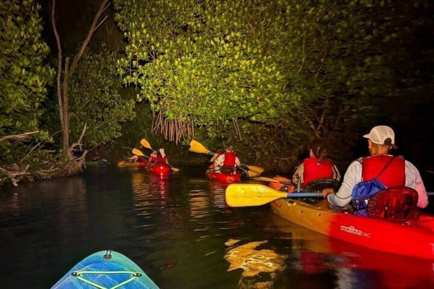 Bio Bay Night Kayak Tour in Fajardo 3