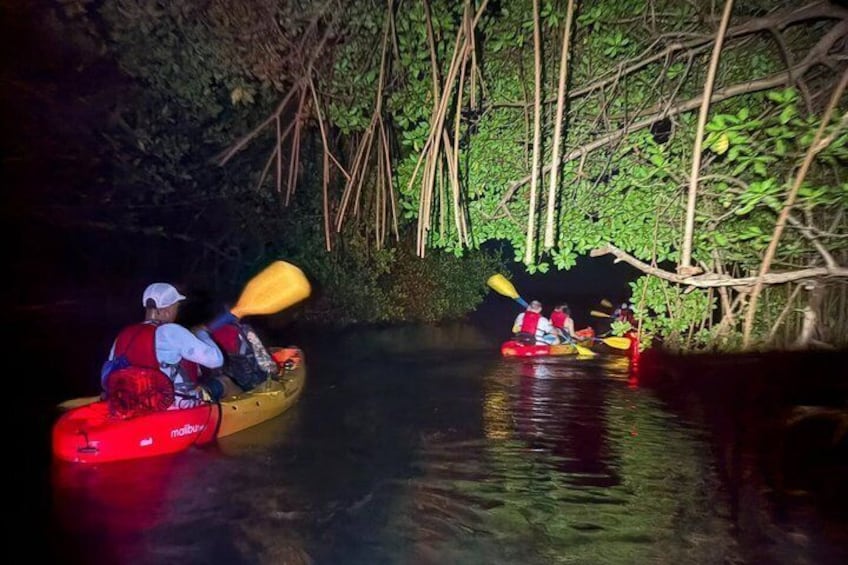 Bio Bay Night Kayak Tour in Fajardo 2