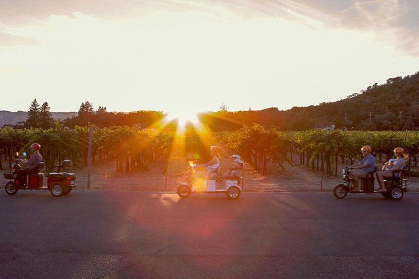 Unforgettable scenes as the sun sets over Sonoma's vineyards 3