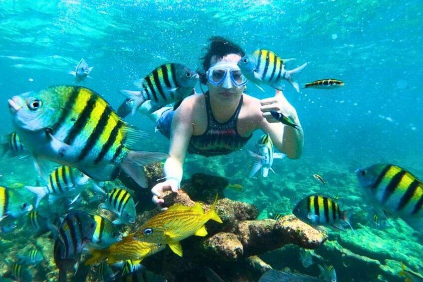 Cartagena's Rosario Islands 5-Site Boat Tour with Lunch & Snorkel 1