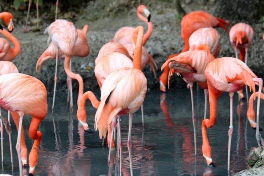Cartagena's Rosario Islands 5-Stop Boat Tour with Lunch & Snorkel 2