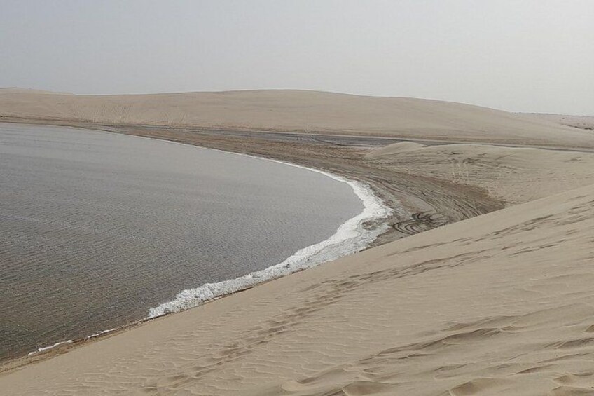 Doha: Desert Safari (Private Tour) with Pick Up & Drop Off 1