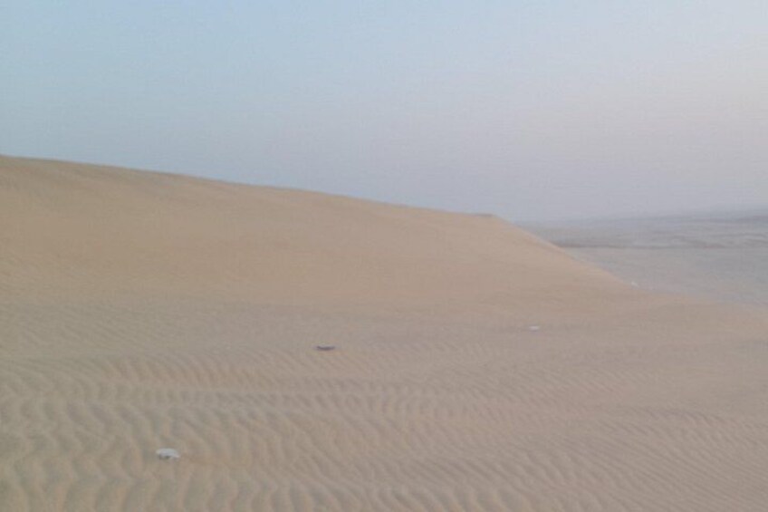 Doha: Desert Safari (Private Tour) with Pick Up & Drop Off 3