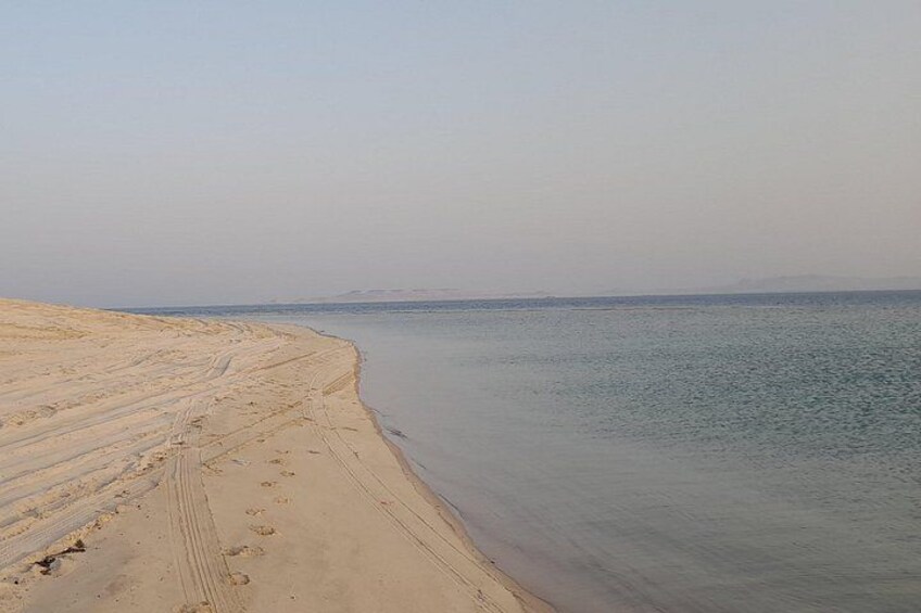 Doha: Desert Safari (Private Tour) with Pick Up & Drop Off 4