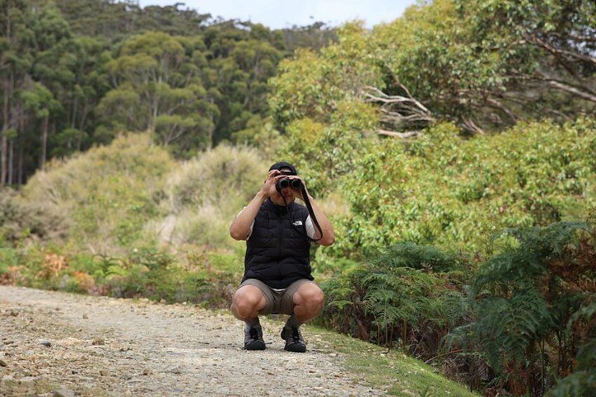 A person squatting on a dirt path surrounded by greenery. 5