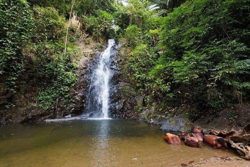 A waterfall in a forested area with a pool at the base. 4