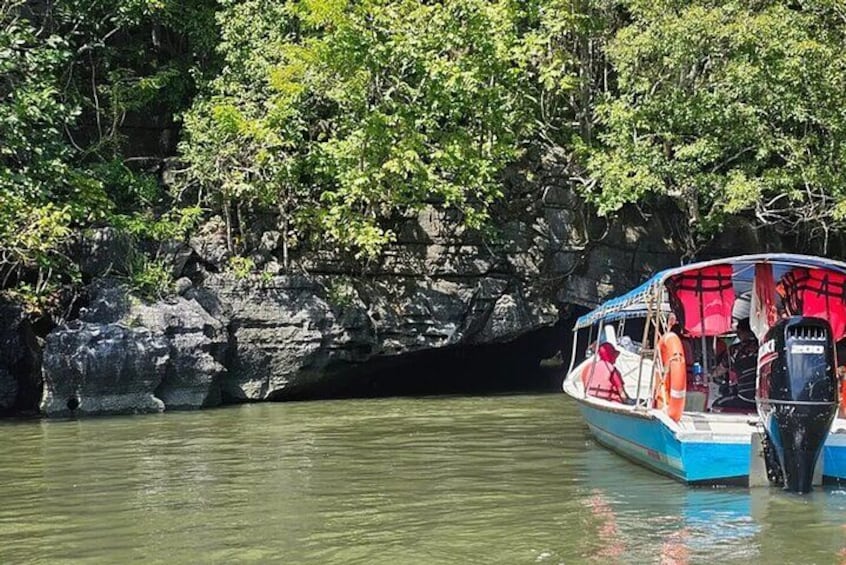 Langkawi Mangrove & Bat Cave Expedition: Sharing Boat With Option 1
