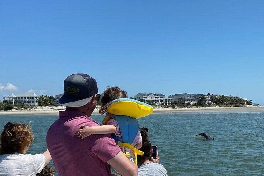 Charleston Dolphin Tour - Private up to 10 1