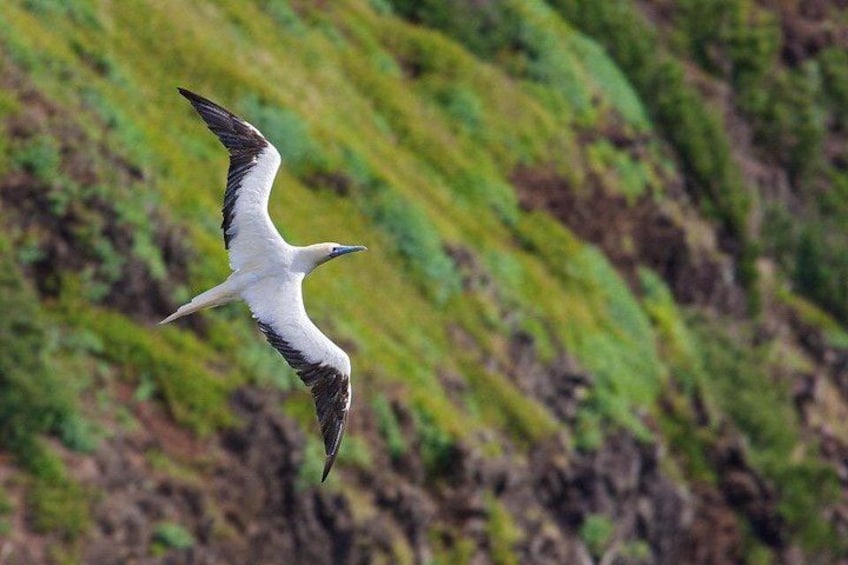 Kauai's North Shore Gems: Private Tour 3