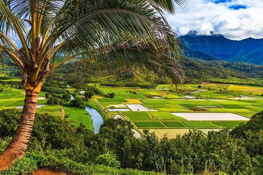 Kauai's North Shore Gems: Private Tour 5