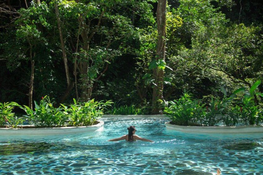 Eine Person schwimmt in einem Pool, umgeben von üppiger Vegetation. 4