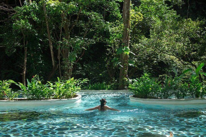 A person swimming in a pool surrounded by lush greenery. 4