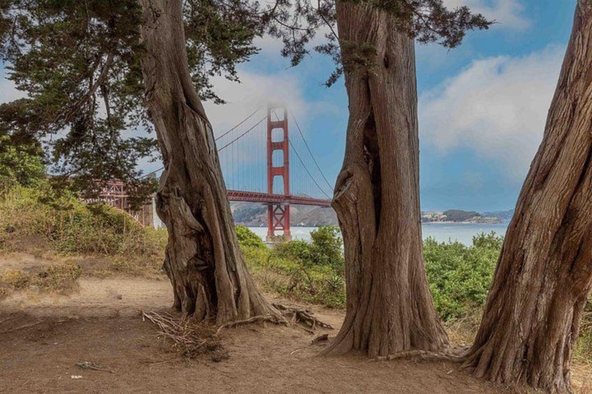A view of the Golden Gate Bridge, red suspension bridge, with large trees in the foreground. 2