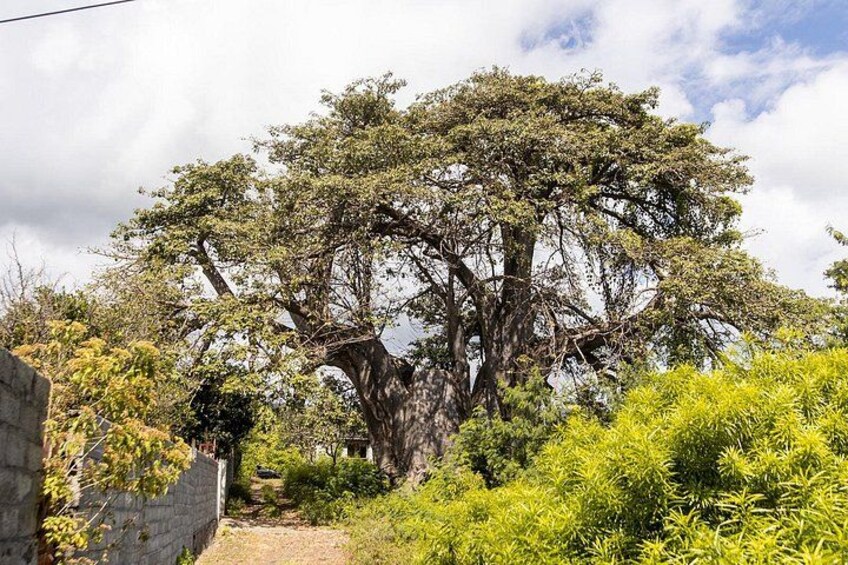 Northern Grand Comore Guided Tour 2
