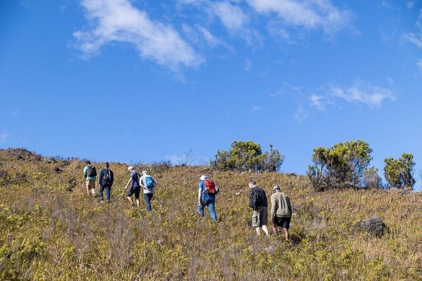 Karthala Volcano Hike Tour 3