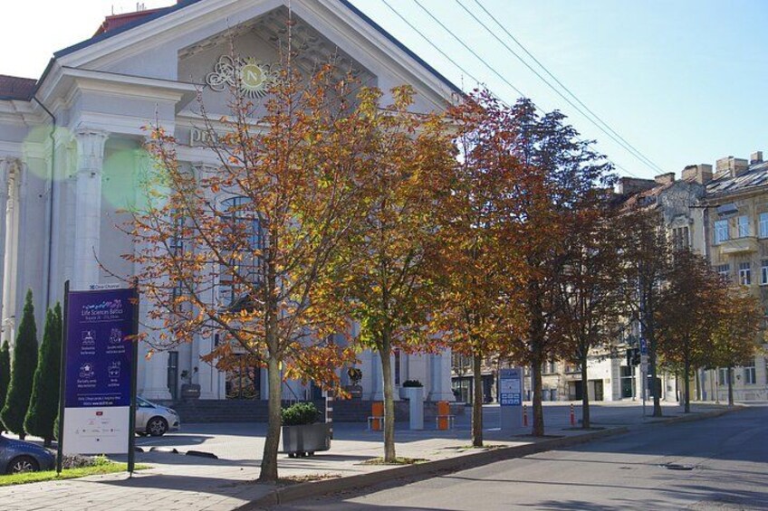 A building with classical architecture, a tree with autumn leaves, and a clear sky. 5