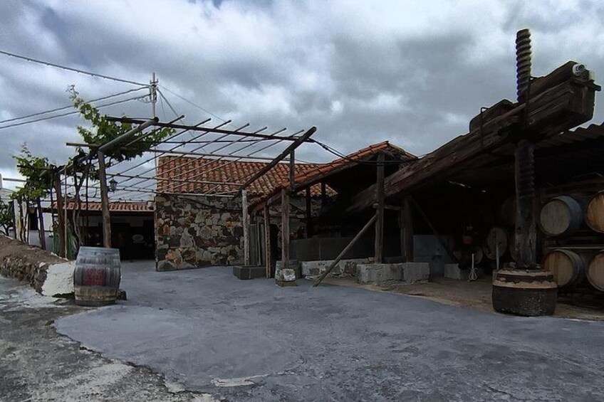 A vineyard with grapevines, a stone building, and wooden barrels. 5