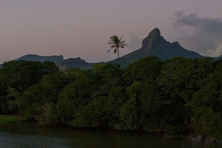 Guided Sunset Kayak Tour in Mauritius 5