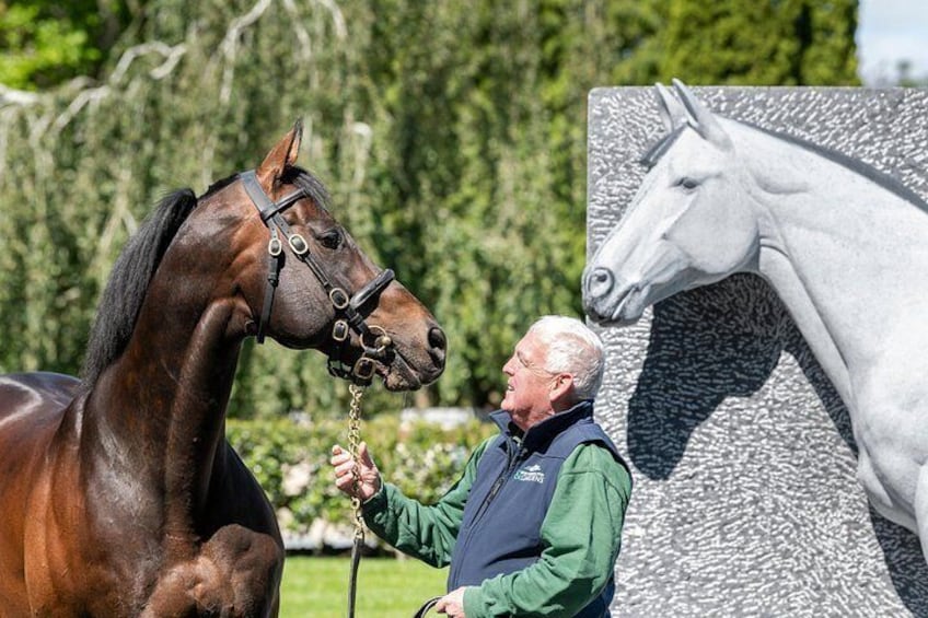 Invincible Spirit Stallion 3
