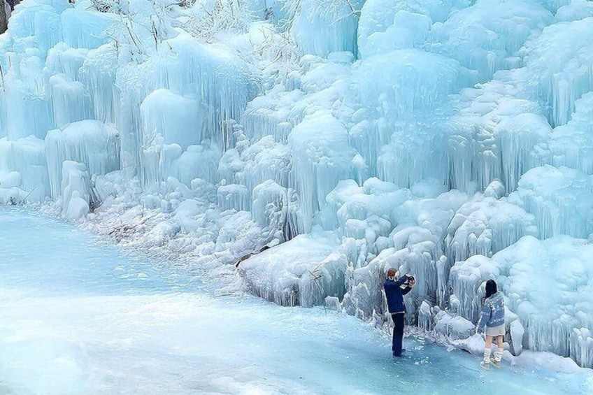 From Seoul : Mounatin, Hanok Village, Wild Grapes or Ice Wall 3