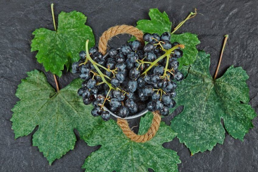 Un racimo de uvas oscuras atadas con una cuerda, rodeadas de hojas de parra verdes sobre una superficie oscura. 4