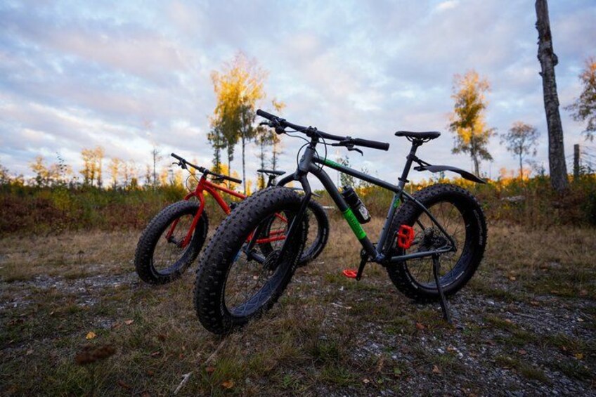 Stockholm Fat Bike Forest Adventure with Lunch and Sauna 4