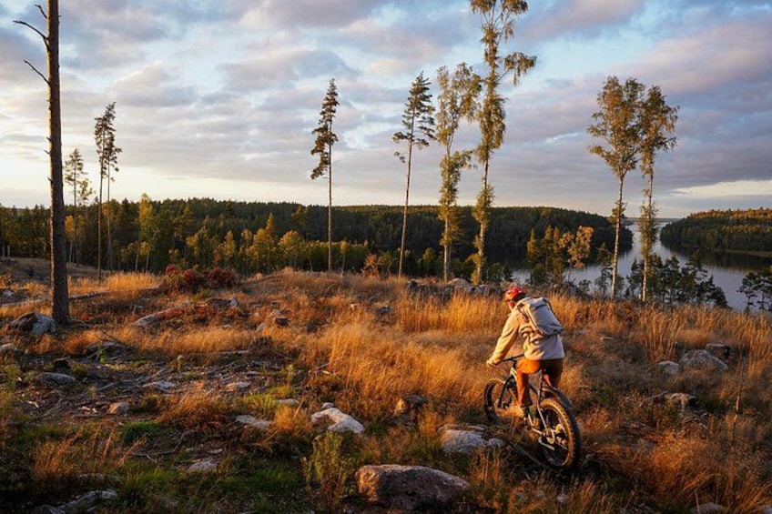 Stockholm Fat Bike Forest Adventure with Lunch and Sauna 3