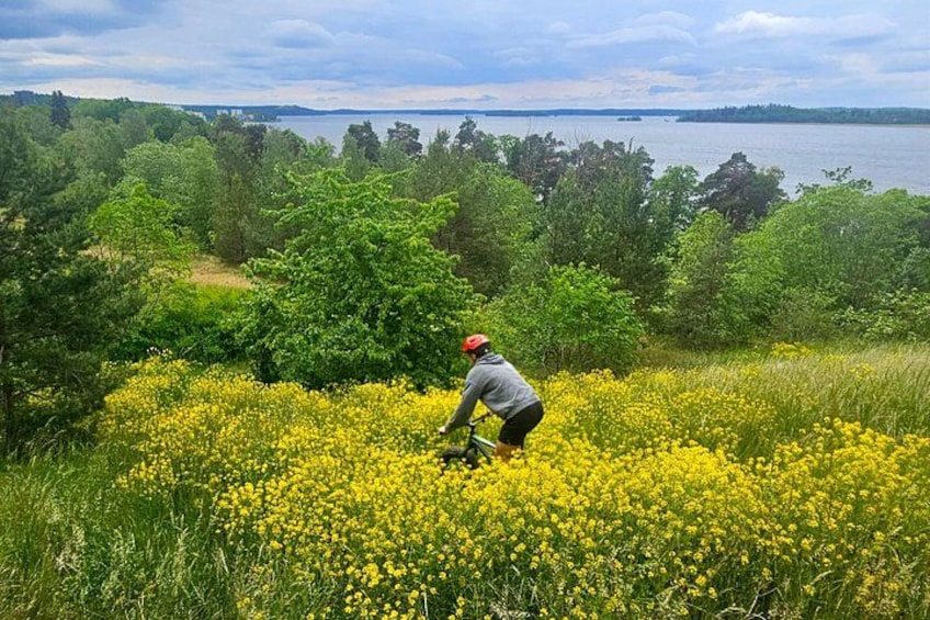 Stockholm Fat Bike Forest Adventure with Lunch and Sauna 2